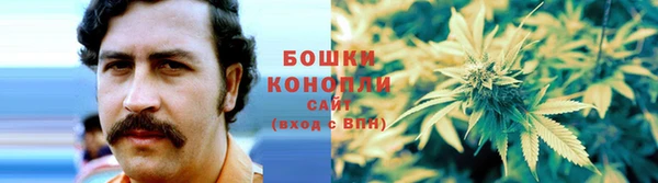 PSILOCYBIN Пролетарск