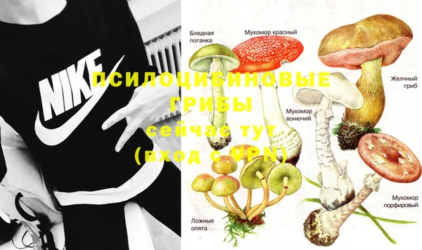 хмурый Приозерск