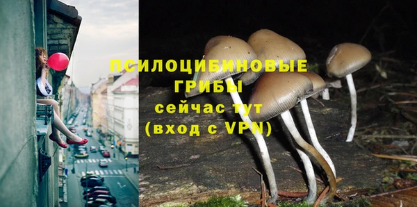 PSILOCYBIN Пролетарск