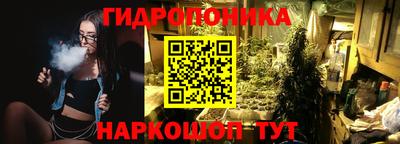 шишки Беслан