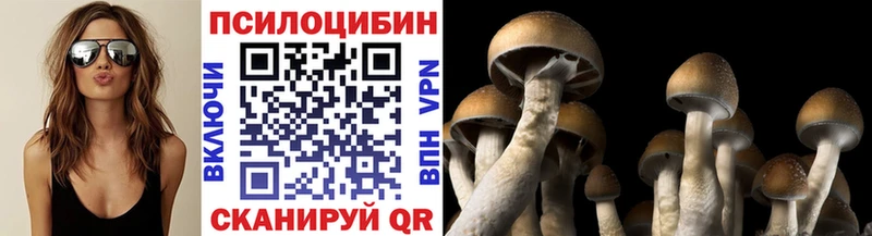Галлюциногенные грибы MAGIC MUSHROOMS  хочу   Великий Устюг 