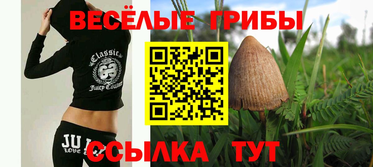 Галлюциногенные грибы Cubensis  Псилоцибиновые грибы прущие грибы  Великий Устюг  Вход с VPN 